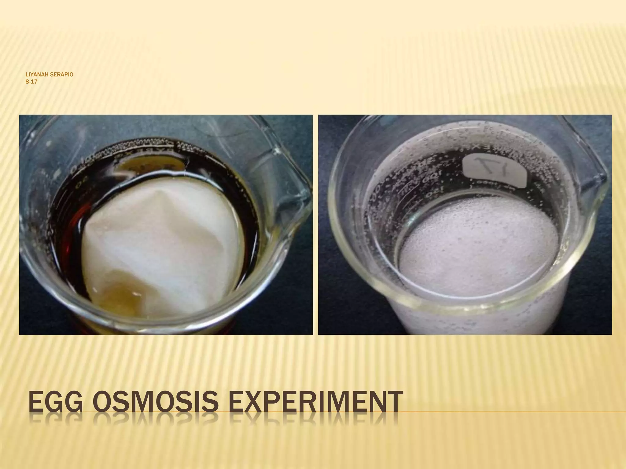 EGG OSMOSIS EXPERIMENT
LIYANAH SERAPIO
8-17