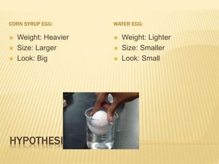 HYPOTHESIS
CORN SYRUP EGG: WATER EGG:
Weight: Heavier
Size: Larger
Look: Big
Weight: Lighter
Size: Smaller
Look: Small