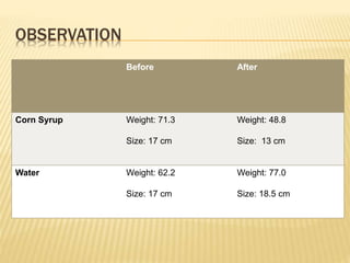 OBSERVATION
Before After
Corn Syrup Weight: 71.3
Size: 17 cm
Weight: 48.8
Size: 13 cm
Water Weight: 62.2
Size: 17 cm
Weight: 77.0
Size: 18.5 cm