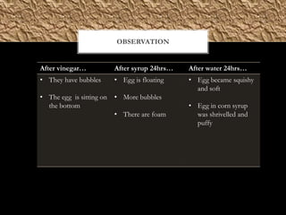 OBSERVATION


After vinegar…            After syrup 24hrs…   After water 24hrs…
• They have bubbles       • Egg is floating    • Egg became squishy
                                                 and soft
• The egg is sitting on   • More bubbles
  the bottom                                   • Egg in corn syrup
                          • There are foam       was shrivelled and
                                                 puffy
 