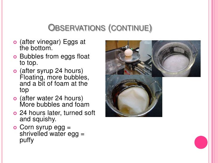 Charisse's Egg osmosis experiment