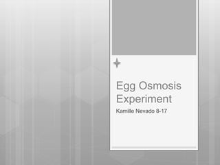 Egg Osmosis
Experiment
Kamille Nevado 8-17
 