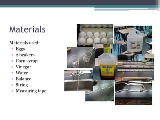 Materials
Materials used:
• Eggs
• 2 beakers
• Corn syrup
• Vinegar
• Water
• Balance
• String
• Measuring tape
 