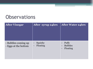 Observations
After Vinegar After syrup 24hrs After Water 24hrs
- Bubbles coming up
- Eggs at the bottom
- Squishy
- Floating
- Puffy
- Bubbles
- Floating
 