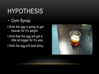 • Corn Syrup:
I think the egg is going to get
heavier for it’s weight.
I think that the egg will get a
little bit bigger for it’s size.
I think the egg will look shiny.
HYPOTHESIS
 