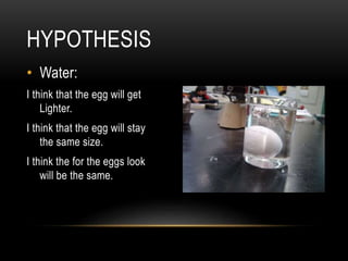 • Water:
I think that the egg will get
Lighter.
I think that the egg will stay
the same size.
I think the for the eggs look
will be the same.
HYPOTHESIS
 