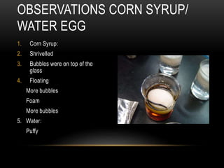 1. Corn Syrup:
2. Shrivelled
3. Bubbles were on top of the
glass
4. Floating
More bubbles
Foam
More bubbles
5. Water:
Puffy
OBSERVATIONS CORN SYRUP/
WATER EGG
 