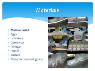 Materials


Materials used
Eggs
2 beakers
Corn syrup
Vinegar
Water
Balance
String and measuring tape
 