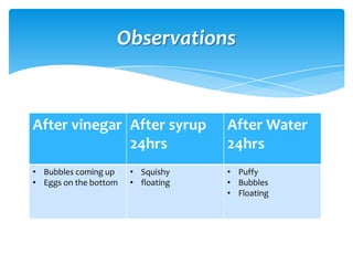 Observations


After vinegar After syrup           After Water
              24hrs                 24hrs
• Bubbles coming up    • Squishy    • Puffy
• Eggs on the bottom   • floating   • Bubbles
                                    • Floating
 