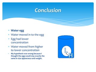 Conclusion


Water egg
Water moved in to the egg
Egg had lower
concentration
Water moved from higher
to lower concentration
My hypothesis was wrong because I
thought the egg would stay exactly the
same in size appearance and weight.
 