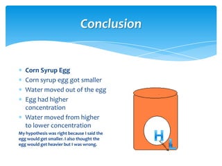 Conclusion


   Corn Syrup Egg
   Corn syrup egg got smaller
   Water moved out of the egg
   Egg had higher
   concentration
   Water moved from higher
   to lower concentration
My hypothesis was right because I said the
egg would get smaller. I also thought the
egg would get heavier but I was wrong.
 