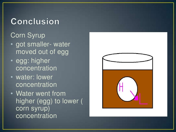 Rose's 817 Egg osmosis experiment