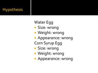 Hypothesis

             Water Egg
              Size: wrong
              Weight: wrong
              Appearance: wrong
             Corn Syrup Egg
              Size: wrong
              Weight: wrong
              Appearance: wrong
 