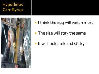 Hypothesis
Corn Syrup

                I think the egg will weigh more

                The size will stay the same

                It will look dark and sticky
 