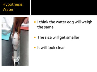 Hypothesis
Water

                I think the water egg will weigh
                 the same

                The size will get smaller

                It will look clear
 