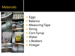 Materials

               Eggs
               Balance
               Measuring Tape
               String
               Corn Syrup
               Water
               2 Beakers
               Vinegar
 