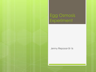 Egg Osmosis
Experiment




Jenny Reposar 8-16
 