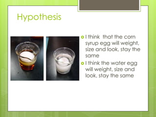 Hypothesis

             I  think that the corn
               syrup egg will weight,
               size and look, stay the
               same
              I think the water egg
               will weight, size and
               look, stay the same
 