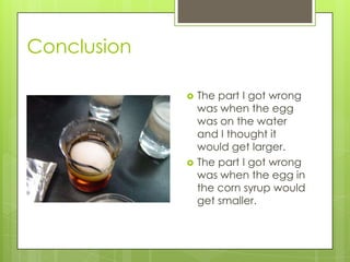 Conclusion

                The part I got wrong
                 was when the egg
                 was on the water
                 and I thought it
                 would get larger.
                The part I got wrong
                 was when the egg in
                 the corn syrup would
                 get smaller.
 