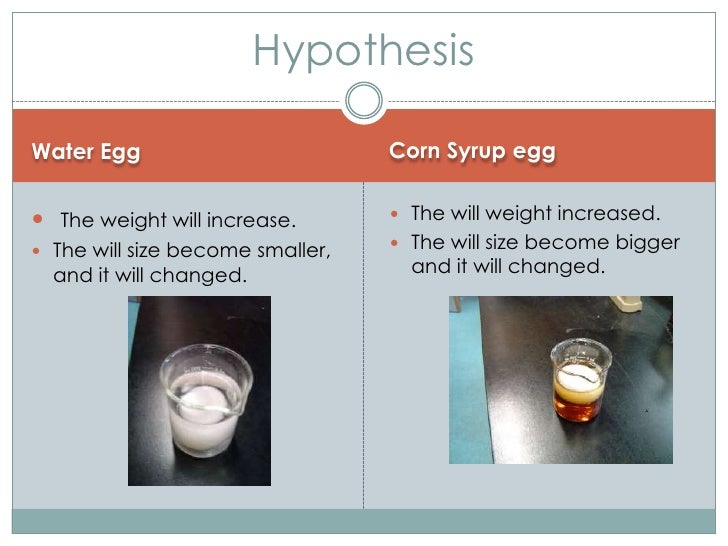 Egg osmosis experiment