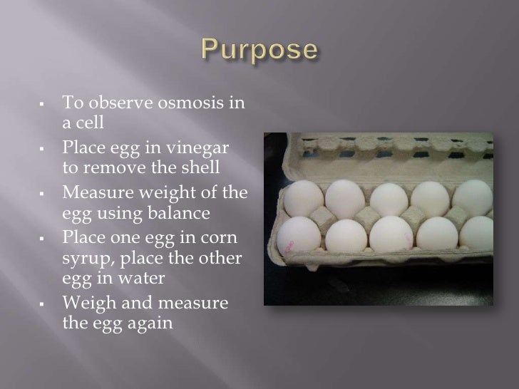 Carlo Supan Egg osmosis experiment