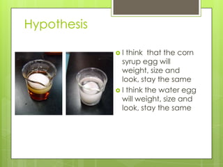 Hypothesis

             I  think that the corn
               syrup egg will
               weight, size and
               look, stay the same
              I think the water egg
               will weight, size and
               look, stay the same
 