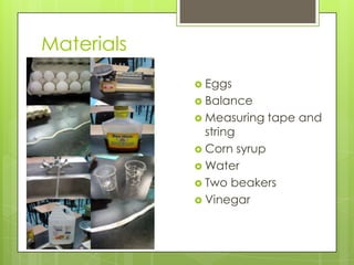 Materials
             Eggs
             Balance
             Measuring   tape and
              string
             Corn syrup
             Water
             Two beakers
             Vinegar
 