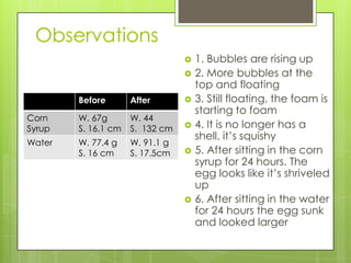Observations
                                    1. Bubbles are rising up
                                    2. More bubbles at the
                                     top and floating
        Before       After          3. Still floating, the foam is
                                     starting to foam
Corn    W. 67g       W. 44
Syrup   S. 16.1 cm   S. 132 cm      4. It is no longer has a
                                     shell, it’s squishy
Water   W. 77.4 g    W. 91.1 g
        S. 16 cm     S. 17.5cm      5. After sitting in the corn
                                     syrup for 24 hours. The
                                     egg looks like it’s shriveled
                                     up
                                    6. After sitting in the water
                                     for 24 hours the egg sunk
                                     and looked larger
 