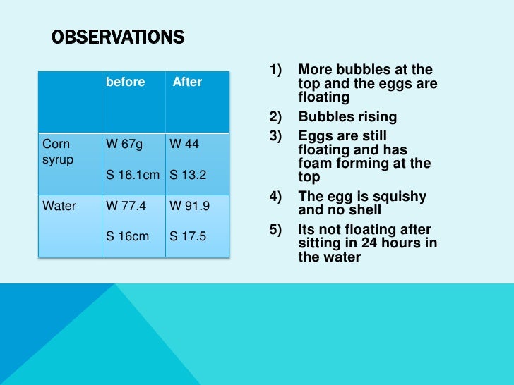 Egg osmosis experiment