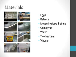 Materials
            • Eggs
            • Balance
            • Measuring tape & string
            • Corn syrup
            • Water
            • Two beakers
            • Vinegar
 