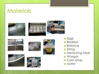 Materials



               Eggs
               Beakers
               Balance
               String
               Measuring tape
               Vinegar
               Corn syrup
               water
 