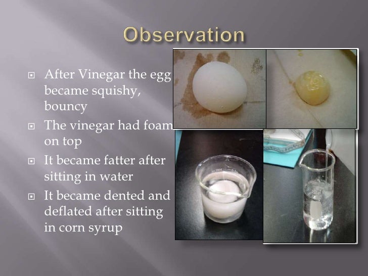 Alex's Egg osmosis Experiment