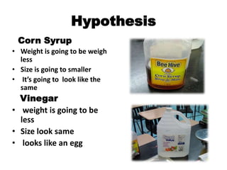 Hypothesis
 Corn Syrup
• Weight is going to be weigh
  less
• Size is going to smaller
• It’s going to look like the
  same
  Vinegar
• weight is going to be
  less
• Size look same
• looks like an egg
 