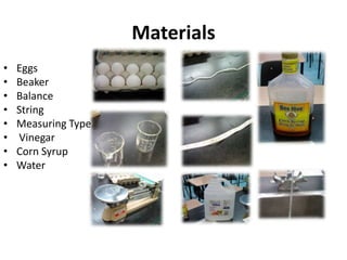 Materials
•   Eggs
•   Beaker
•   Balance
•   String
•   Measuring Type
•   Vinegar
•   Corn Syrup
•   Water
 