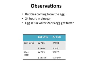 Observations
• Bubbies coming from the egg.
• 24 hours in vinegar
• Egg sat in water 24hrs egg got fatter



              BEFORE     AFTER
 Corn Syrup   W 71.5     W 50.6

              S 16cm     S 14.5
 Water        W 71.5     W 87.5
 (H2O)
              S 18.5cm   S 18.5cm
 