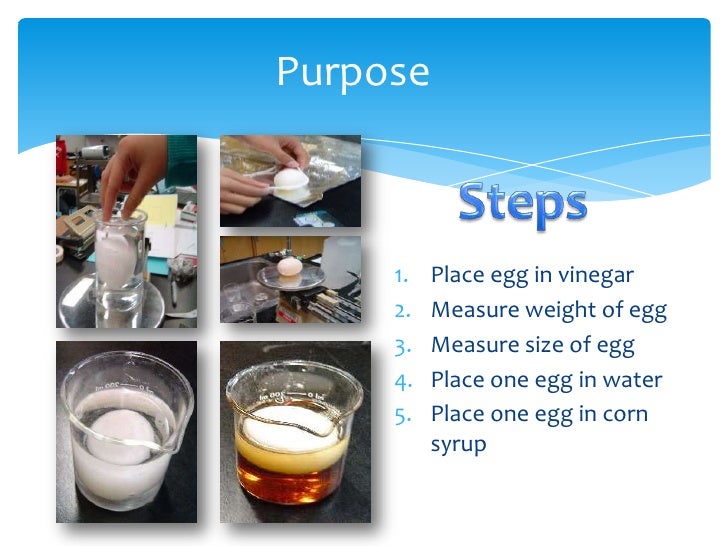 Marielle's Egg osmosis experiment