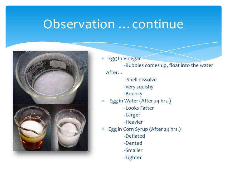 Marielle's Egg osmosis experiment