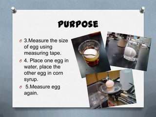 Purpose
O 3.Measure the size
  of egg using
  measuring tape.
O 4. Place one egg in
  water, place the
  other egg in corn
  syrup.
O 5.Measure egg
  again.
 