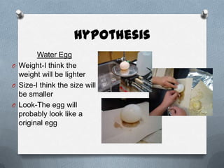Hypothesis
        Water Egg
O Weight-I think the
  weight will be lighter
O Size-I think the size will
  be smaller
O Look-The egg will
  probably look like a
  original egg
 