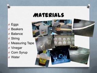 Materials
O Eggs
O Beakers
O Balance
O String
O Measuring Tape
O Vinegar
O Corn Syrup
O Water
 