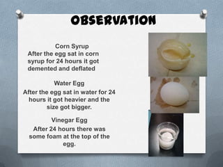 Observation
           Corn Syrup
 After the egg sat in corn
 syrup for 24 hours it got
 demented and deflated

            Water Egg
After the egg sat in water for 24
  hours it got heavier and the
         size got bigger.

          Vinegar Egg
   After 24 hours there was
  some foam at the top of the
              egg.
 