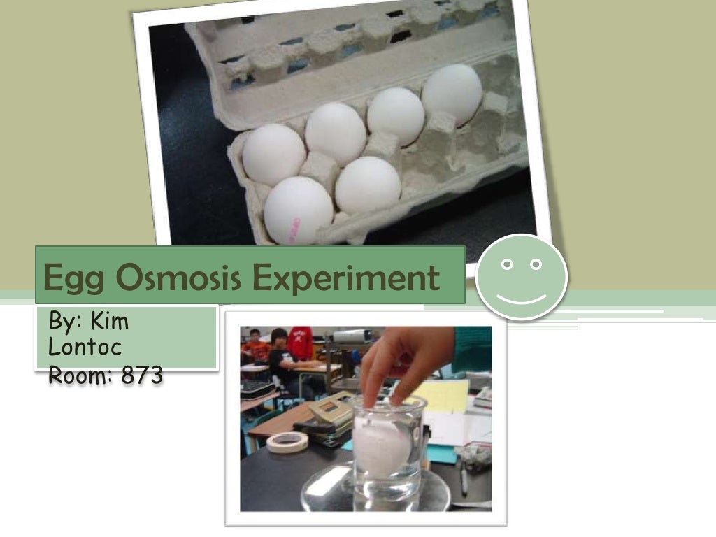 Kim's Egg osmosis experiment