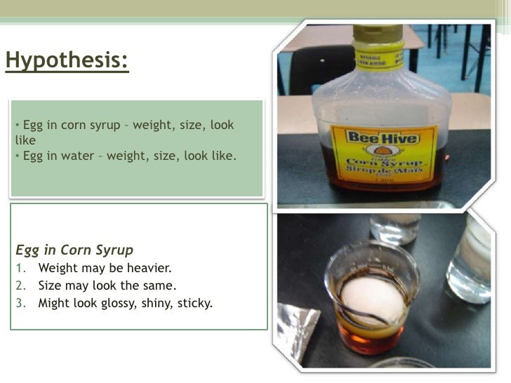 Kim's Egg osmosis experiment