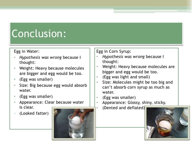 Egg osmosis essay