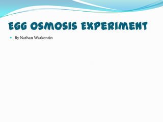 Egg Osmosis Experiment
 By Nathan Warkentin
 