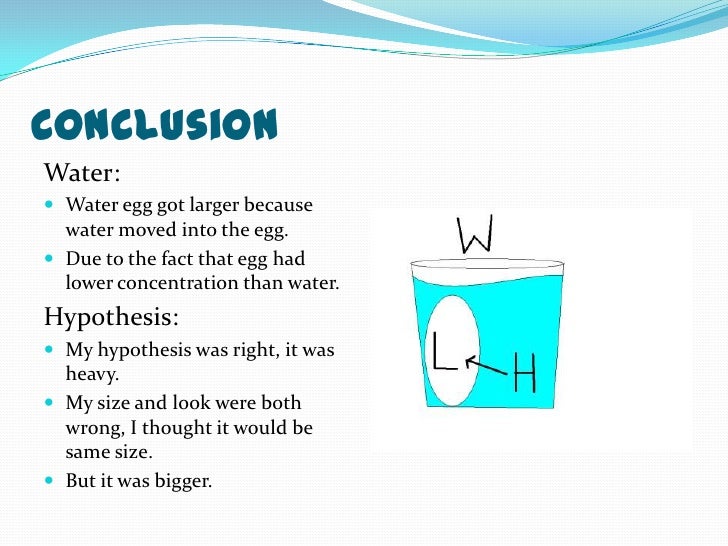 Nathans Egg osmosis experiment