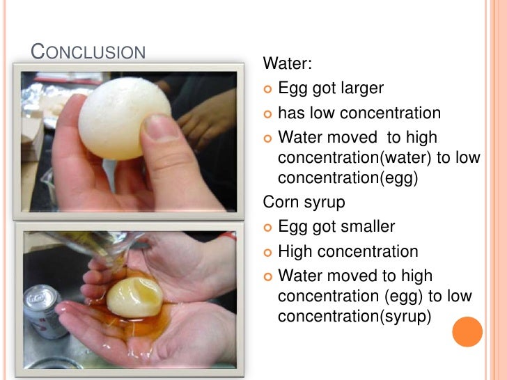 Jairus's Egg osmosis experiment