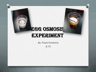 Egg Osmosis
Experiment
  By: Paulo Emeterio
         8-73
 