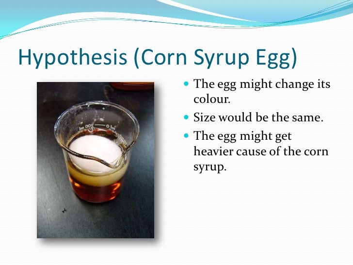 Marlo's Egg osmosis experiment