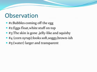 Observation
 #1:Bubbles coming off the egg
 #2:Eggs float,white stuff on top
 #3:The skin is gone ,jelly-like and squishy
 #4 (corn syrup):looks soft,soggy,brown-ish
 #5:(water) larger and transparent
 